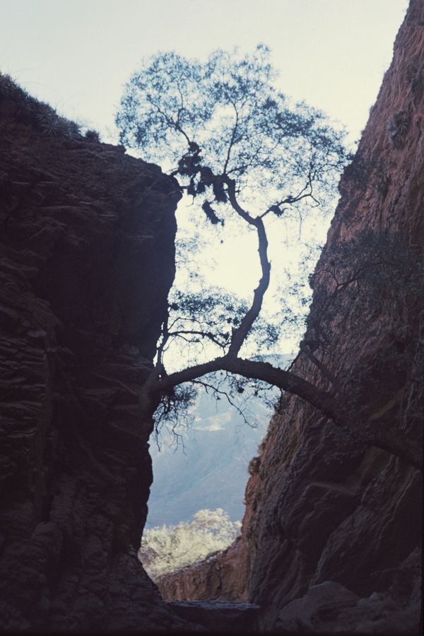 © Martín Estol - Image from the Leve photography project