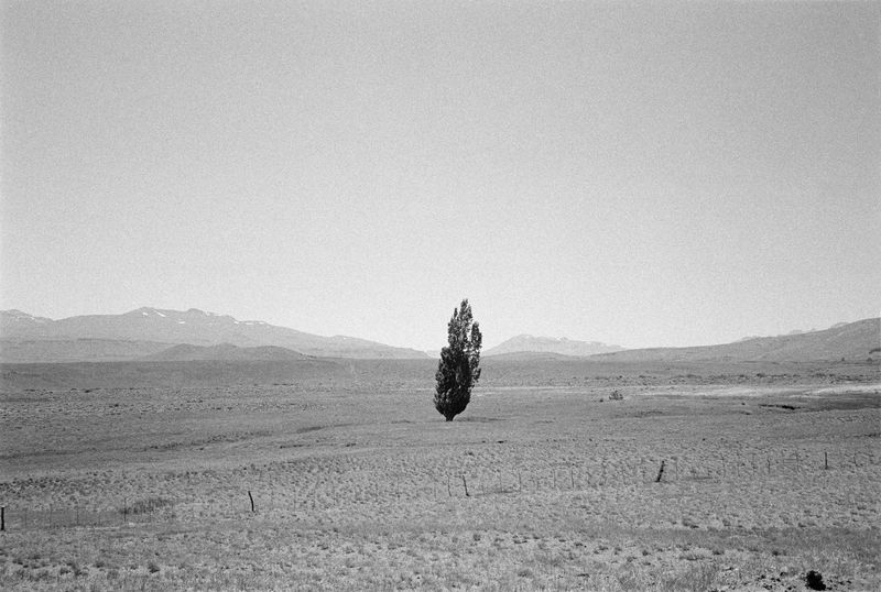 © Martín Estol - Image from the Leve photography project