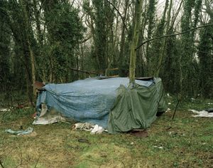 Shelter