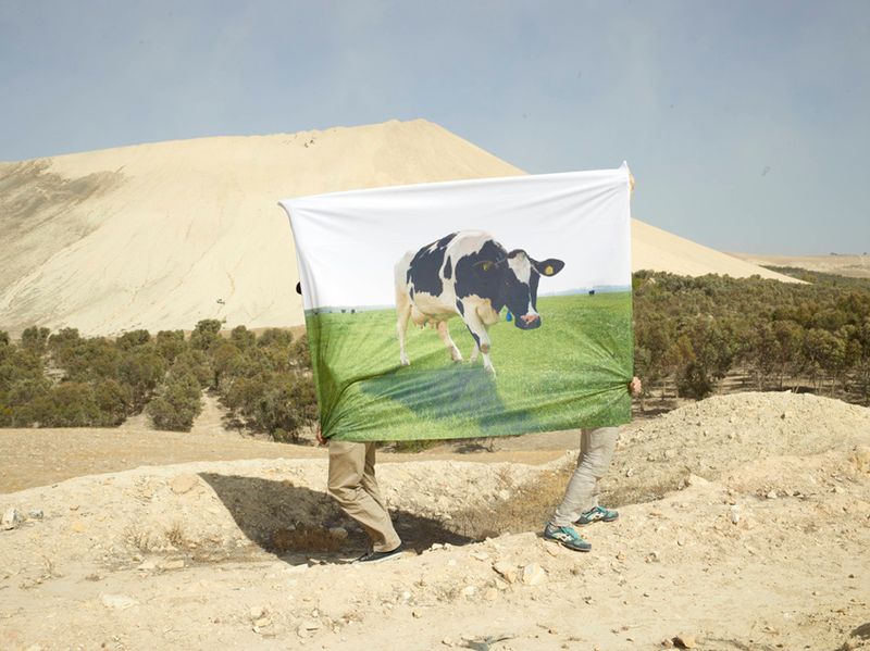 © Henk Wildschut - Image from the Phosphate photography project