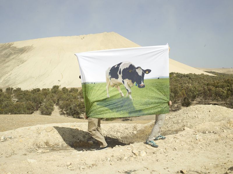 © Henk Wildschut - Image from the Phosphate photography project