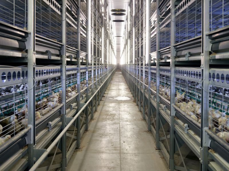 © Henk Wildschut - Image from the Food photography project