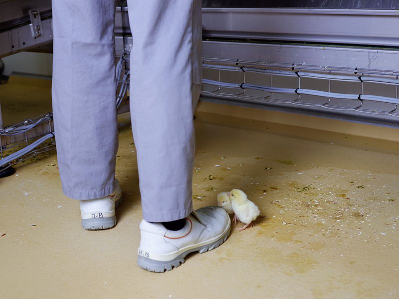 © Henk Wildschut - Image from the Food photography project