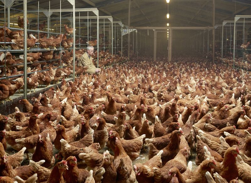 © Henk Wildschut - Image from the Food photography project