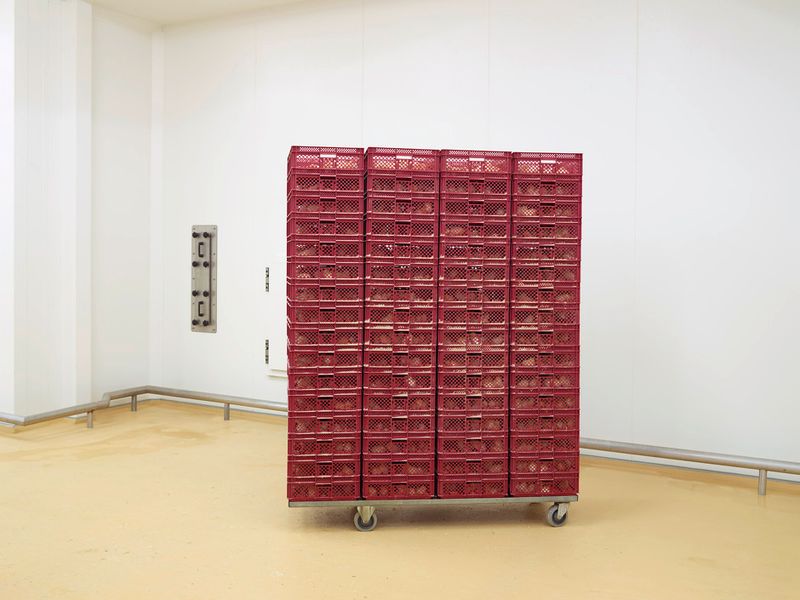 © Henk Wildschut - Image from the Food photography project