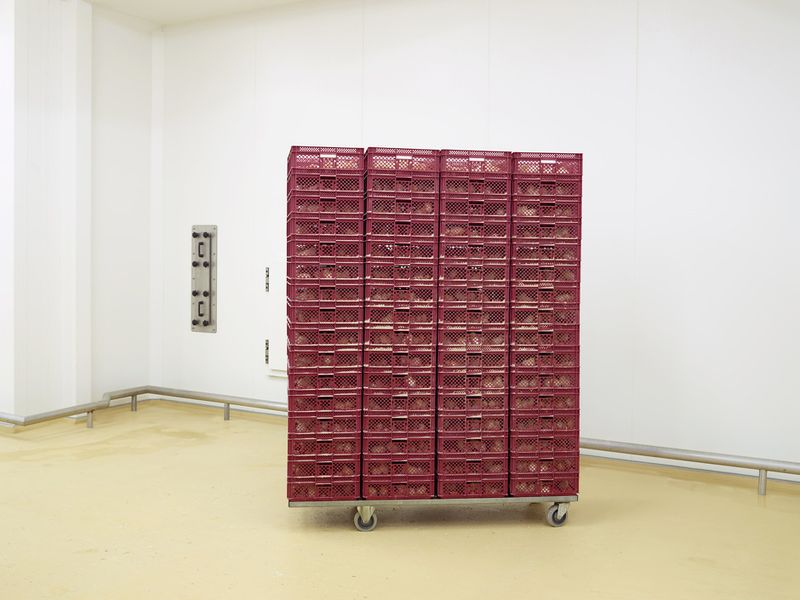 © Henk Wildschut - Image from the Food photography project