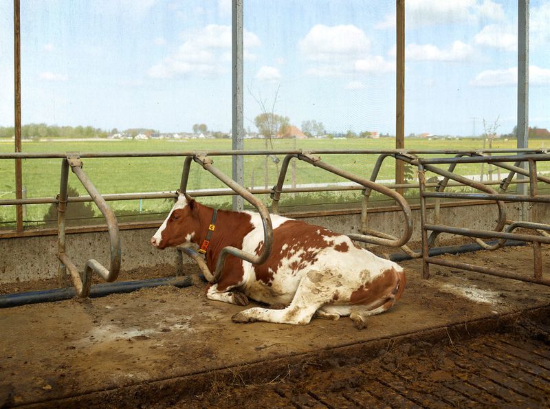 © Henk Wildschut - Image from the Food photography project