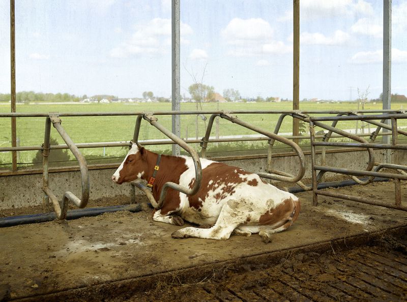 © Henk Wildschut - Image from the Food photography project