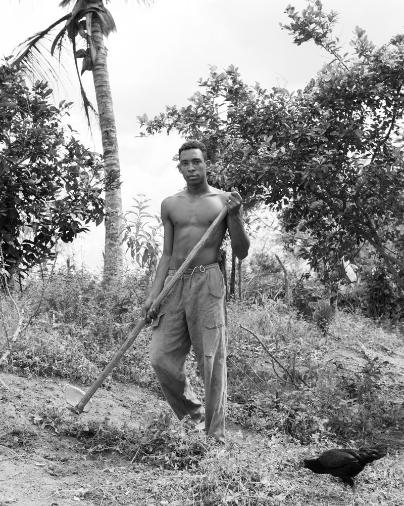 © Martin Toft - Oswaldo, farm worker. Bahia, Brazil