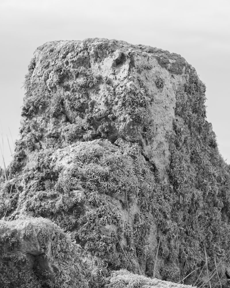 © Martin Toft - Lé Rotchi V / Rock V