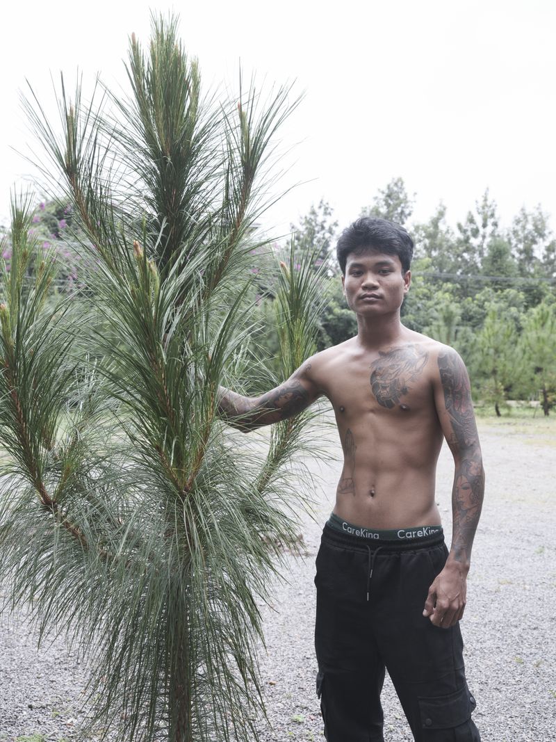 © Roban - Pine Warrior