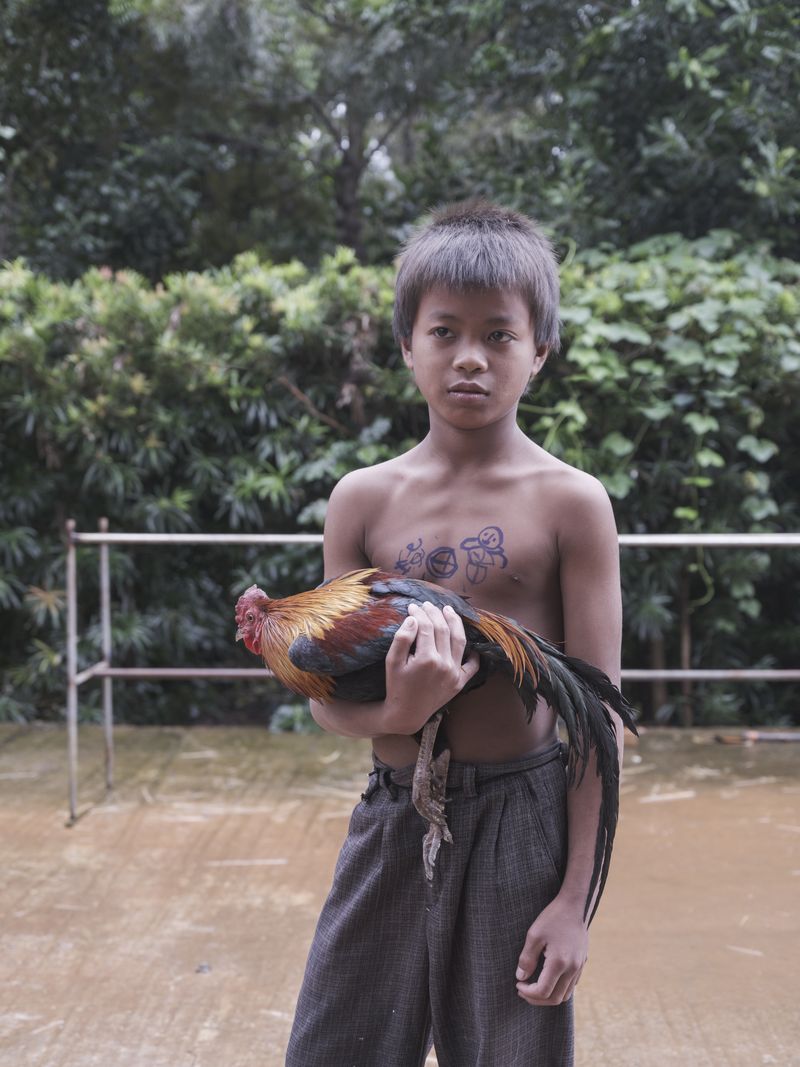 © Roban - The boy and the cock