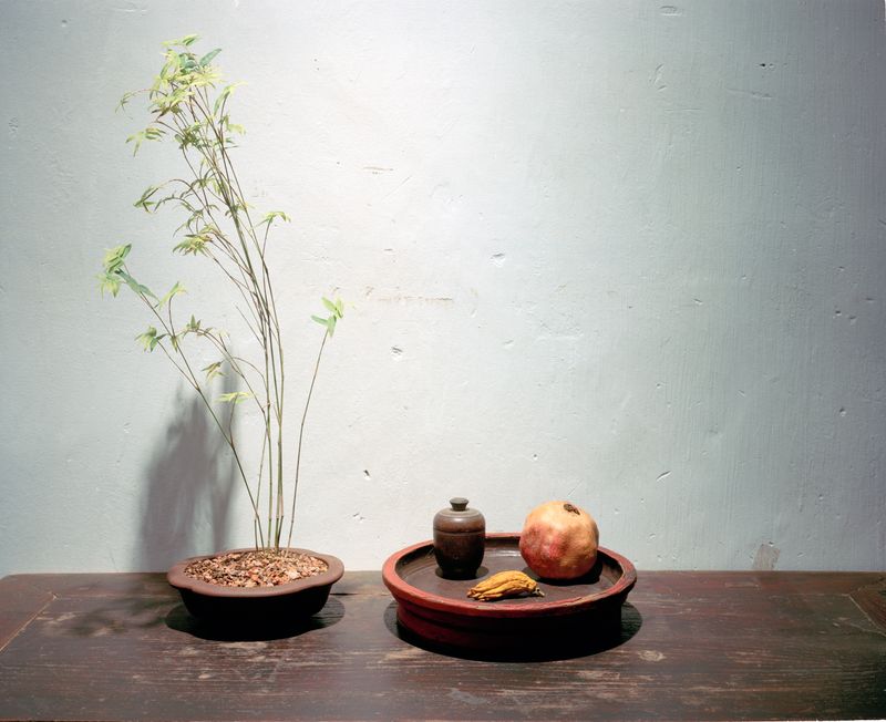 © Roban - Image from the Yellow Dragon photography project