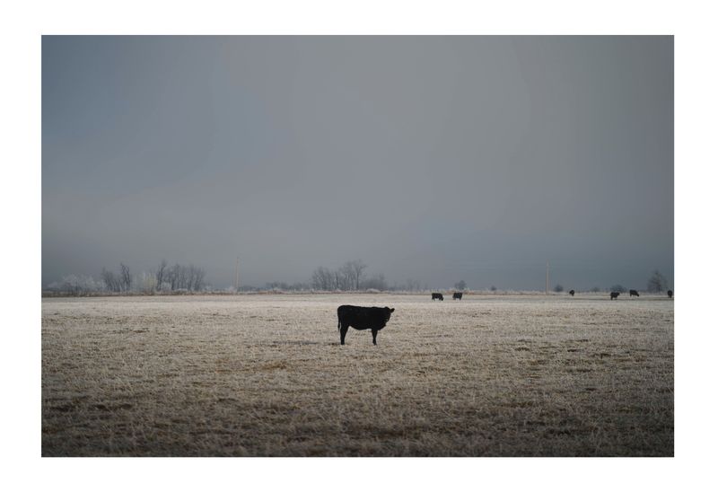 © Noam Azouz - a farm on the flathead reservation, MT