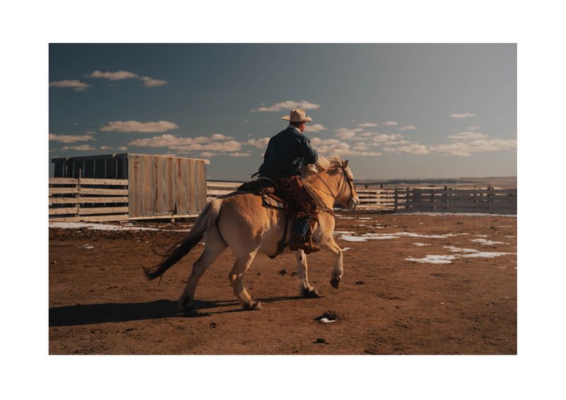 © Noam Azouz - hunter and his horse on the racnh he grew up in, SD