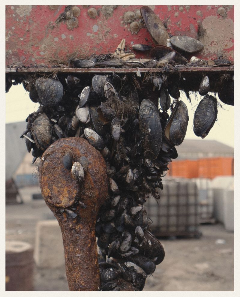 © Noam Azouz - Image from the Behind the Waterfront photography project