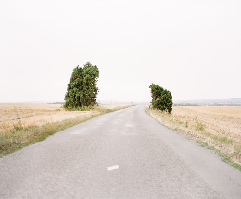 © Jade Joannès - The gate, 2020