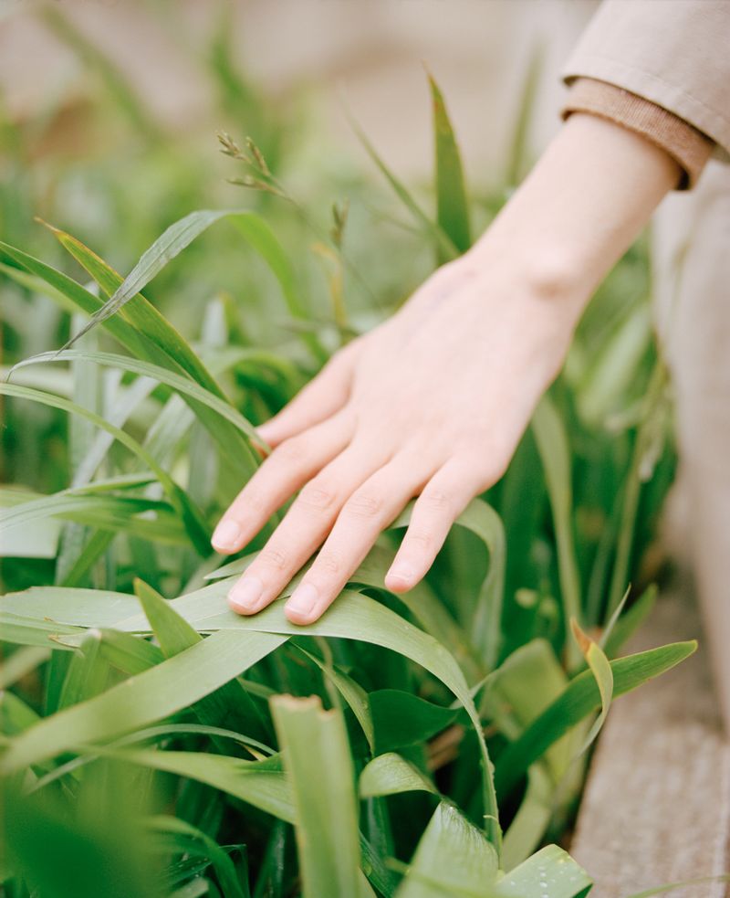 © Jade Joannès - Tempé, 2019