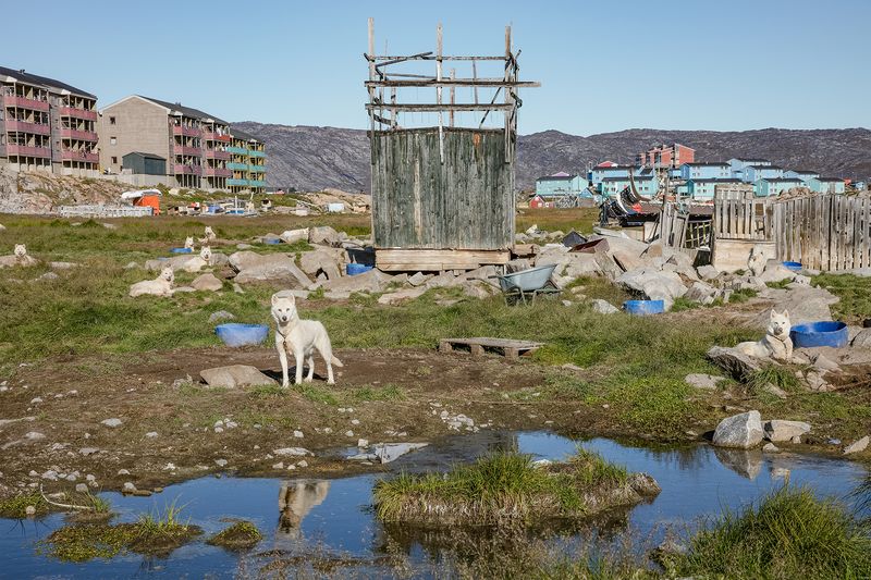 © Victoria Crayhon - Untitled Greenland XX (Sled Dog Colony, Ilulisaat), archival pigment print 30 x 40 inches