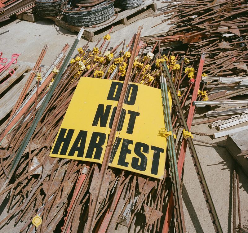 © Ash Oakley - Image from the Cloud County photography project