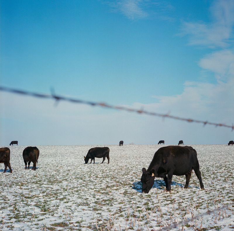 © Ash Oakley - Image from the Cloud County photography project