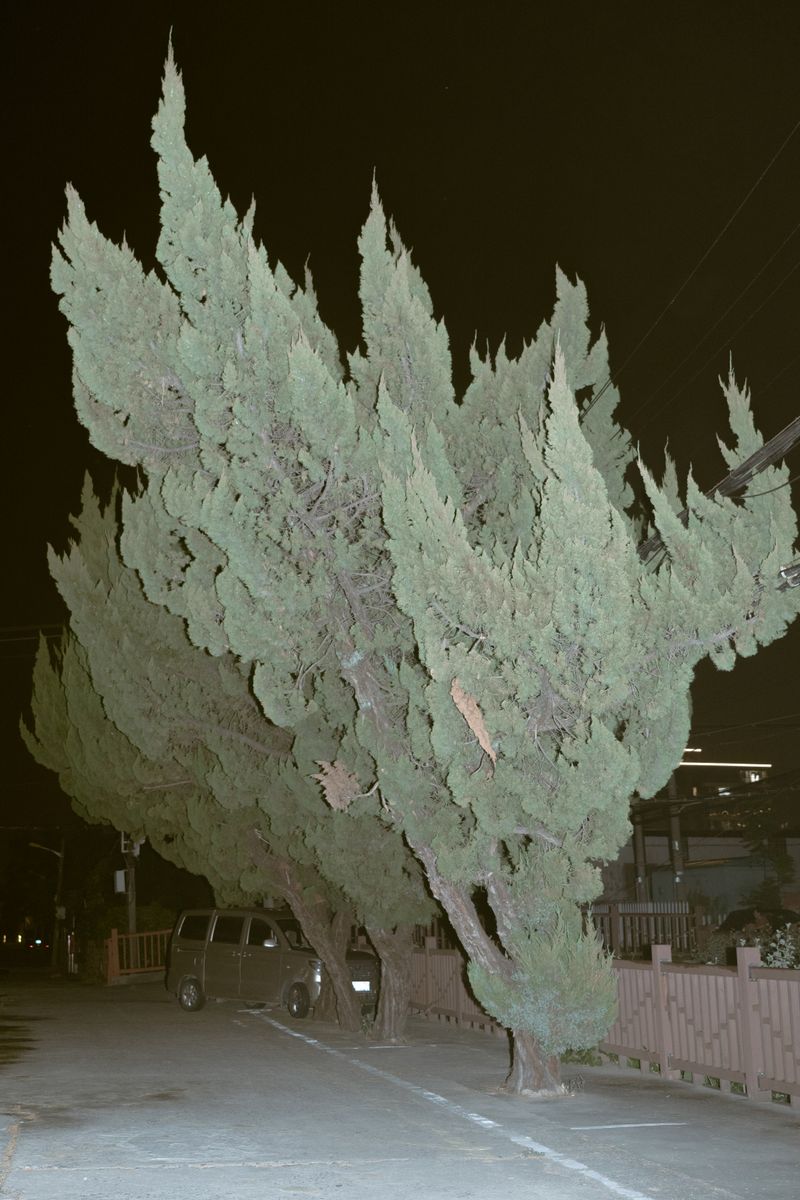© zhang xiaohan - Image from the Dreams Between the Tides photography project