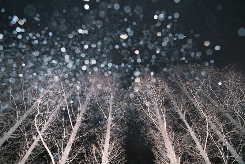 © zhang xiaohan - Image from the Dreams Between the Tides photography project