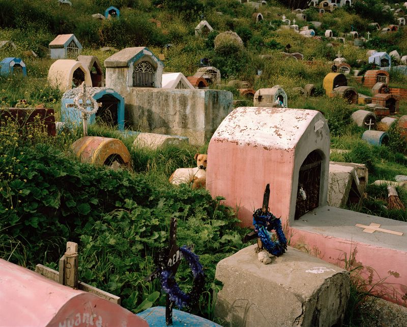 © Daniel Mebarek - BOLIVIA. La Paz. 2020. Cemetery "La Llamita". Analog photograph.