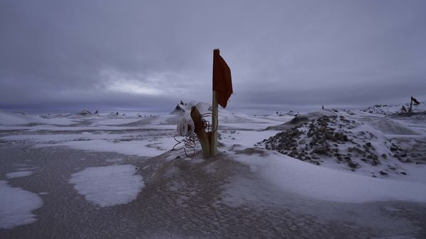 © victoria piersig - Image from the I Brought You This photography project