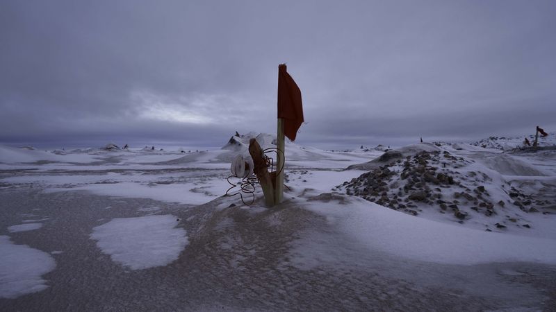 © victoria piersig - Image from the I Brought You This photography project
