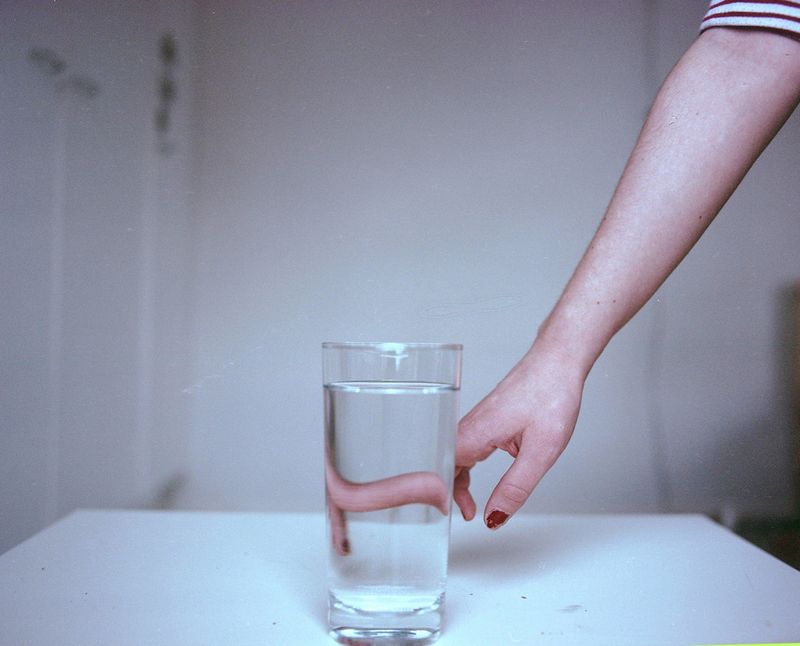 © Shia Conlon - Animal, 2019