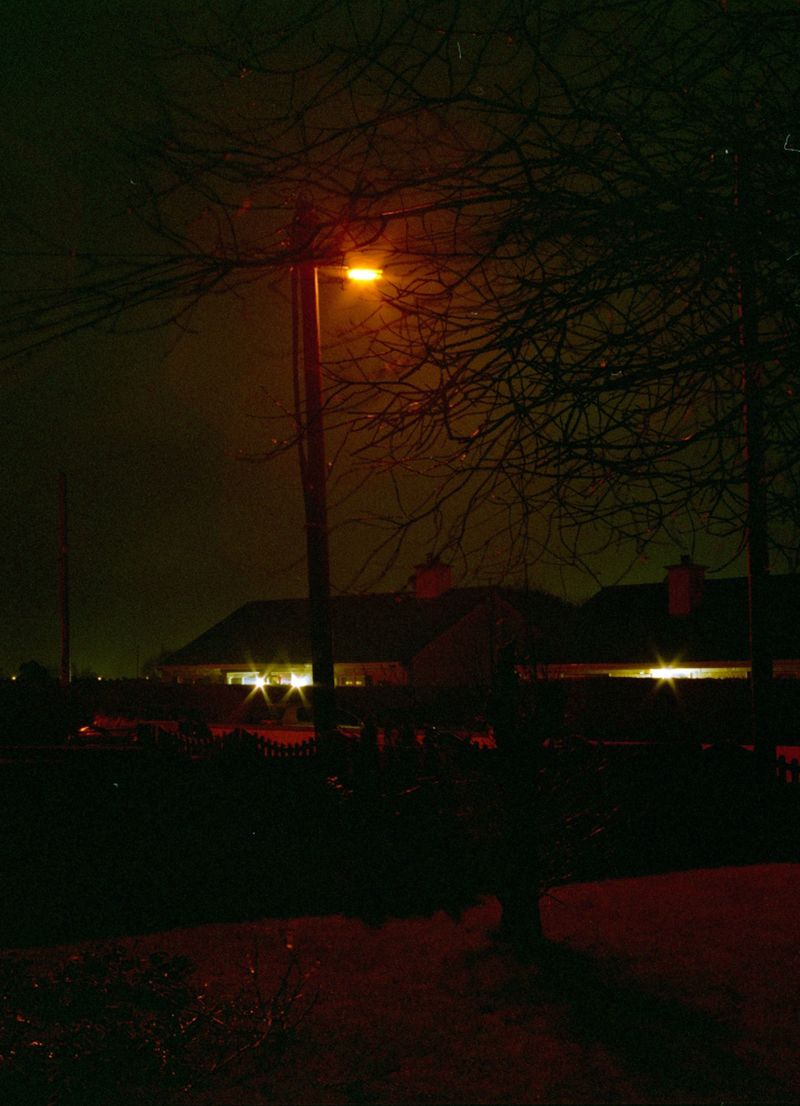 © Shia Conlon - The Scream, 2019