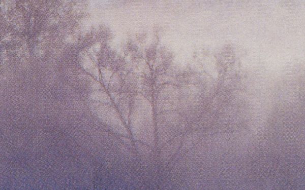© Gundega Strauberga - Reframed Calendar Landscape, 2025