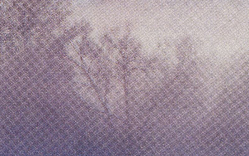 © Gundega Strauberga - Reframed Calendar Landscape, 2025