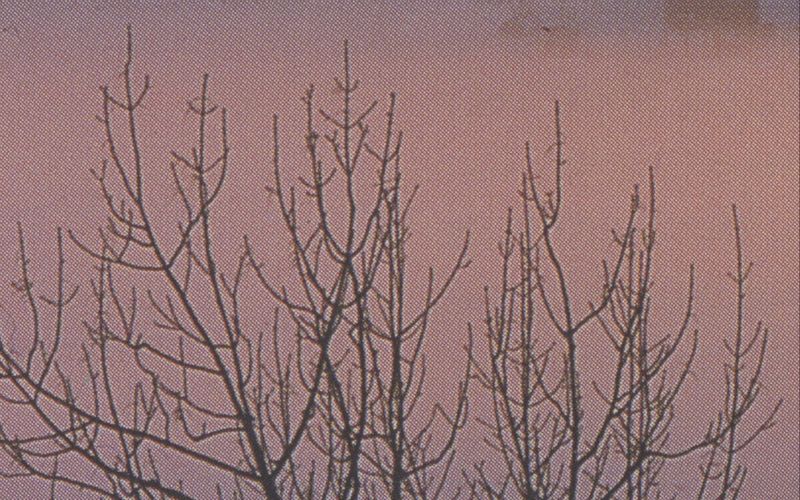 © Gundega Strauberga - Reframed Calendar Landscape, 2025