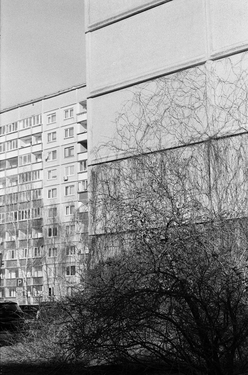 © Gundega Strauberga - My childhood neighborhood, Ziepniekkalns, Riga. January 2024