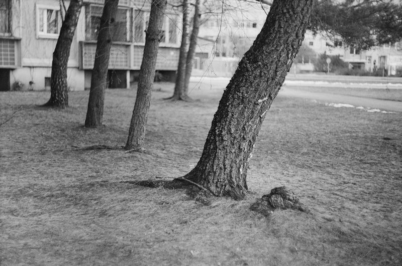 © Gundega Strauberga - My childhood neighborhood, Ziepniekkalns, Riga. January 2024