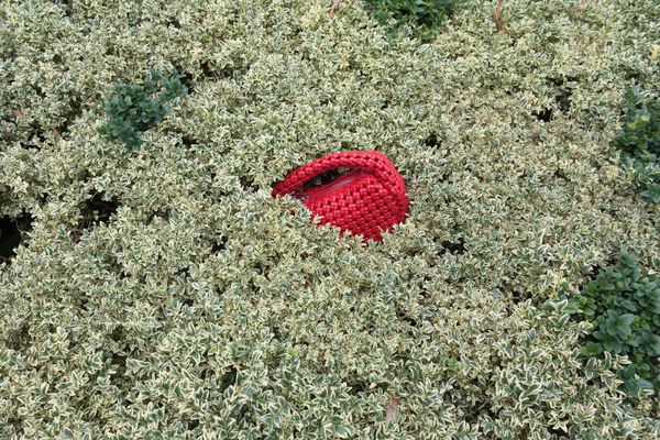 © Edyta Kopcio - Image from the Summer in Red photography project