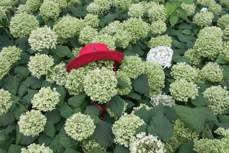 © Edyta Kopcio - Image from the Summer in Red photography project