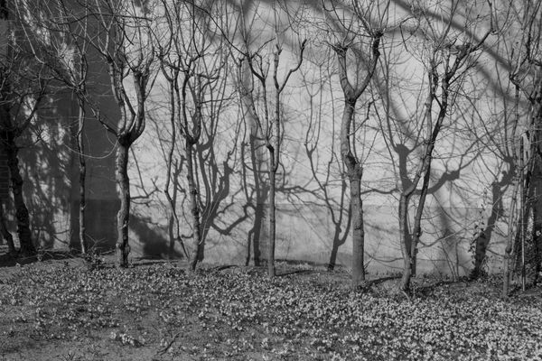 © Edyta Kopcio - Image from the Ruhestätte photography project