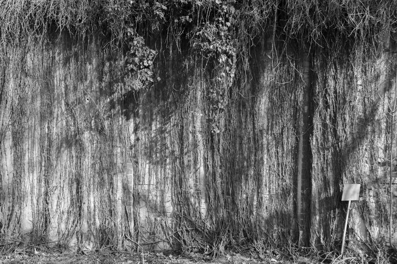 © Edyta Kopcio - Image from the Ruhestätte photography project