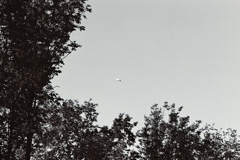 © Ksenia Shupenya - Image from the Grains of Silence photography project