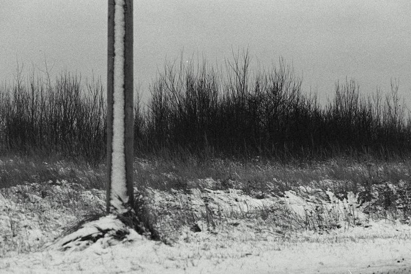 © Ksenia Shupenya - Moody winter scene - blurred grasses, soft sky, atmosphere heavy. Ilford Delta 3200