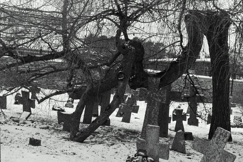 © Ksenia Shupenya - Image from the Grains of Silence photography project