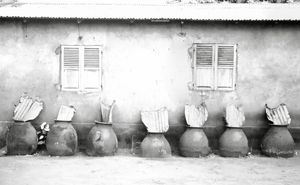 KESINONU - HERITAGE OF THE EARTH