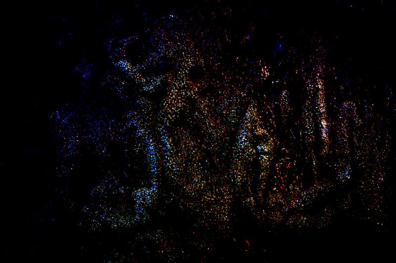 © WALL  KURT - Image from the EDO photography project