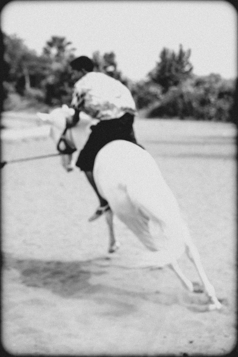 © WALL  KURT - Image from the Delicious Cup photography project