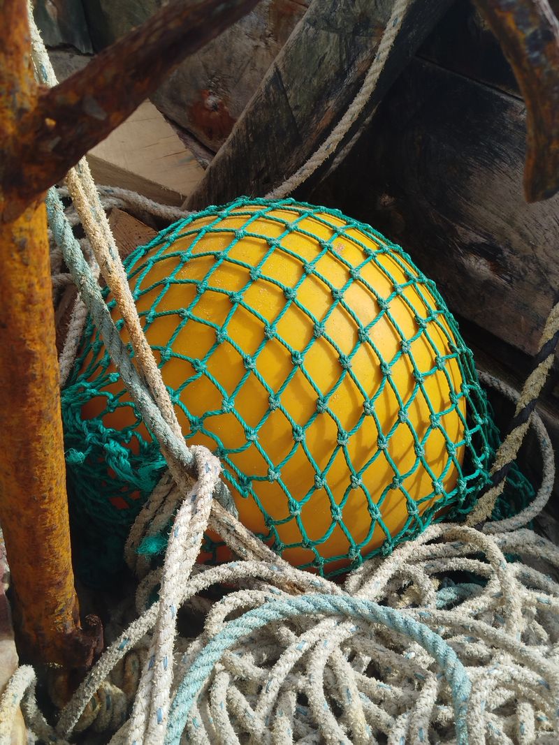 © WALL  KURT - Image from the Fialor Institute photography project