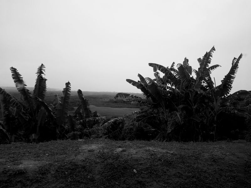 © Susanne Wehmer - Av. Taípe, Trancoso (Brasil)
