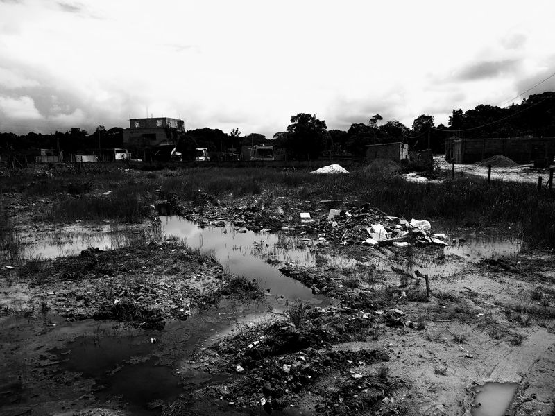 © Susanne Wehmer - Av. Taípe, Trancoso (Brasil)